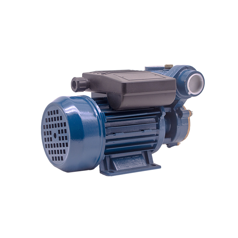 0.16HP 0.125KW DB-125A periferna pumpa za vodu04