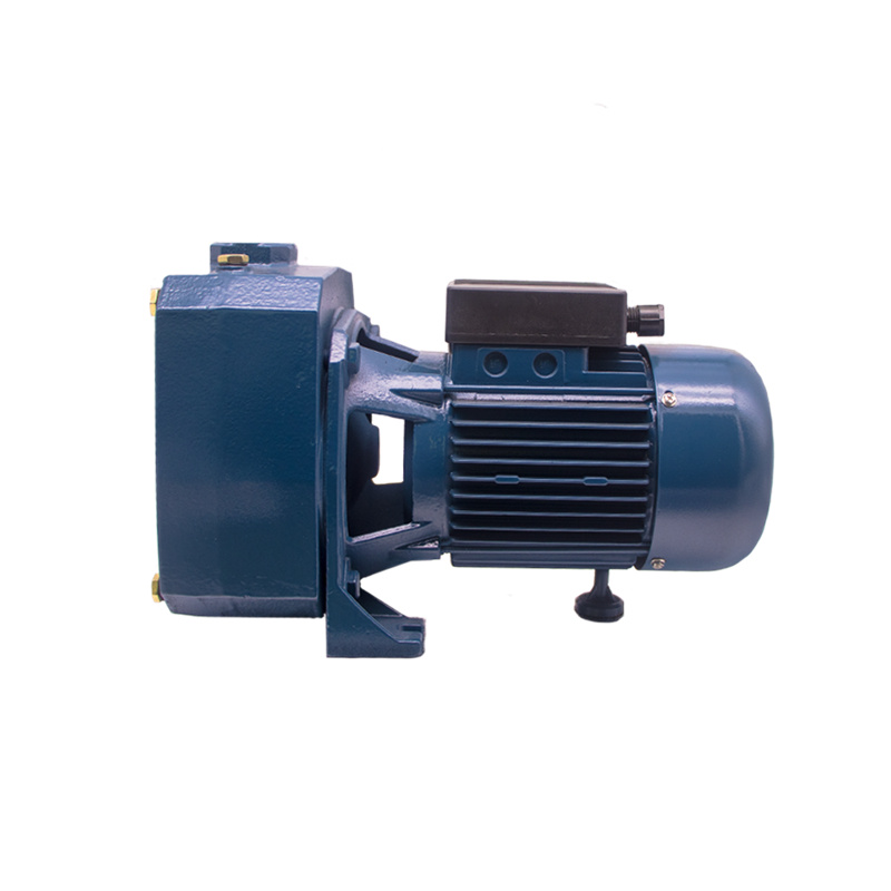 1,5HP -2HP DP-A seeria iseimev pump01