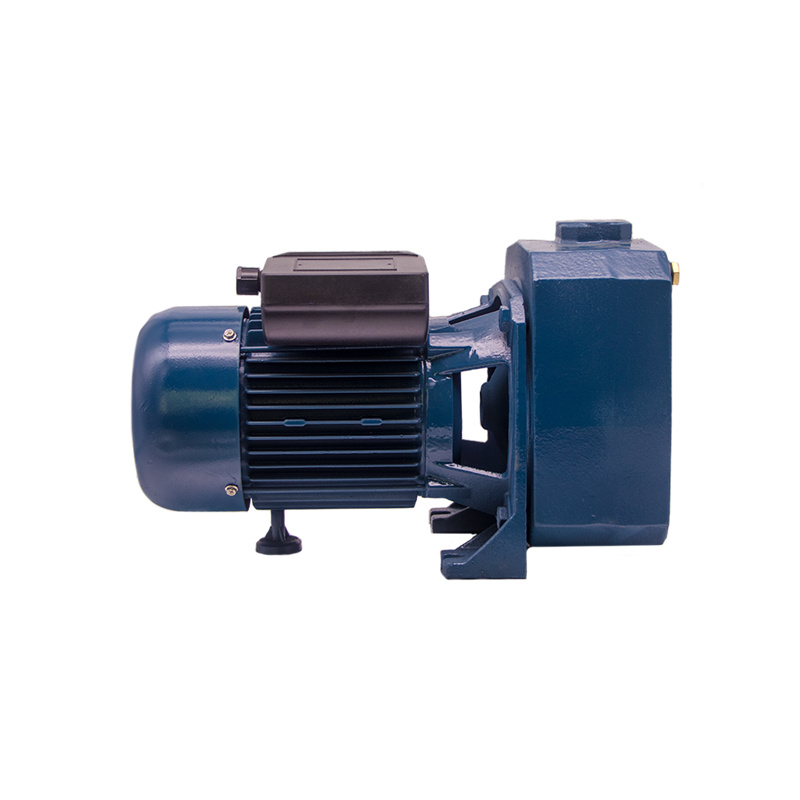 1.5HP -2HP DP-A moʻo Pump-Priming Pump05