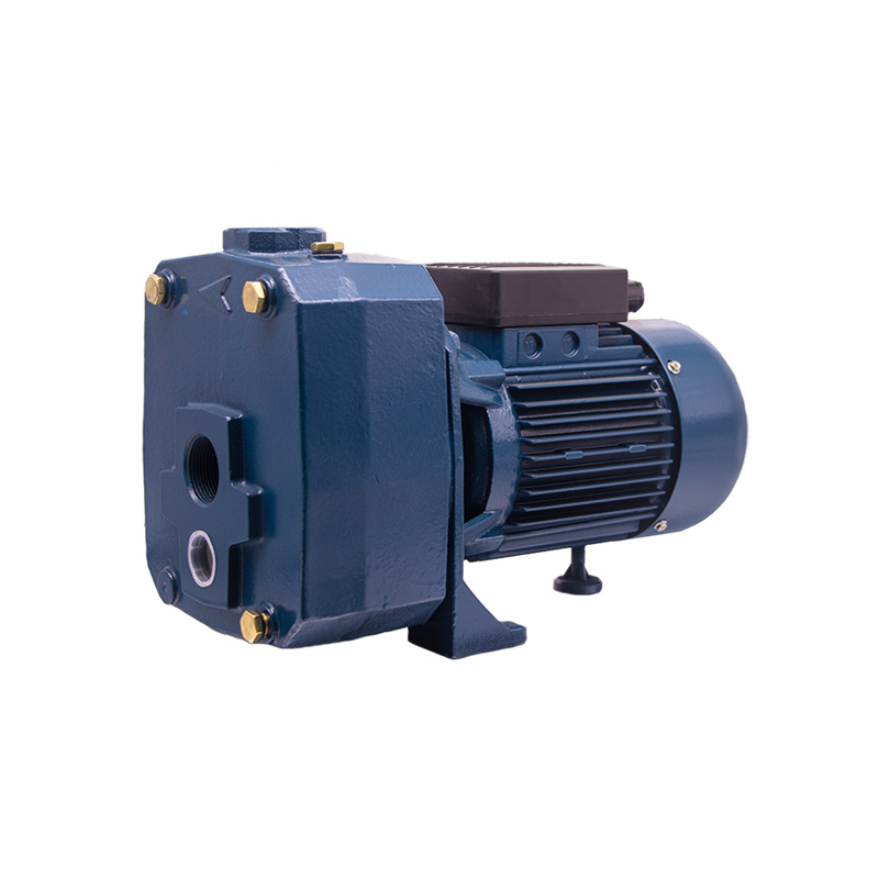 1.5HP -2HP DP-A Series Self-Priming Pompa07