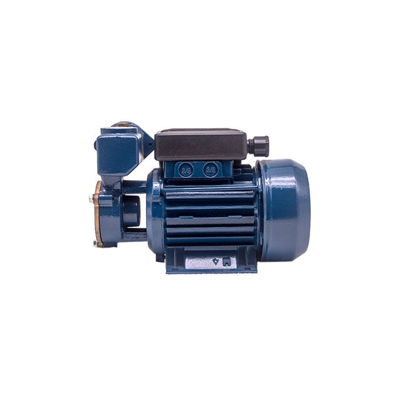 0.16HP 0.125KW DB-125A Peripheral Water Pump01