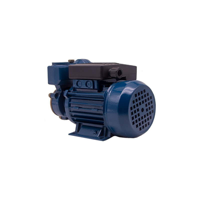 0.16HP 0.125KW DB-125A Peripheral Water Pump02