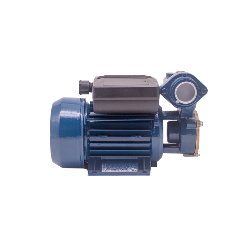0.16HP 0.125KW DB-125A Peripheral Water Pump05