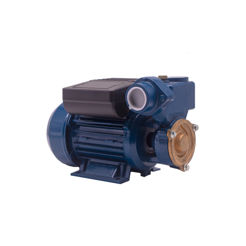 0.16HP 0.125KW DB-125A Peripheral Water Pump06