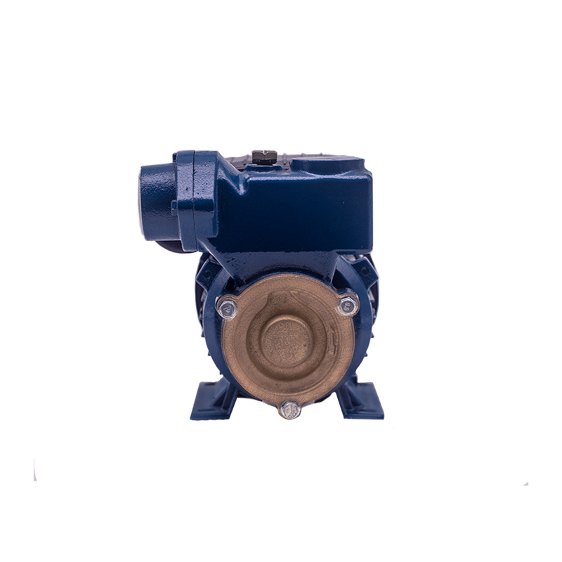 0.16HP 0.125KW DB-125A Peripheral Water Pump07