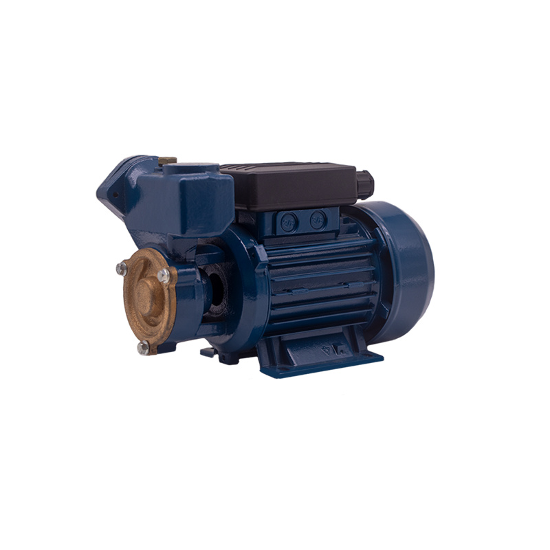 0.16HP 0.125KW DB-125A Peripheral Water Pump08