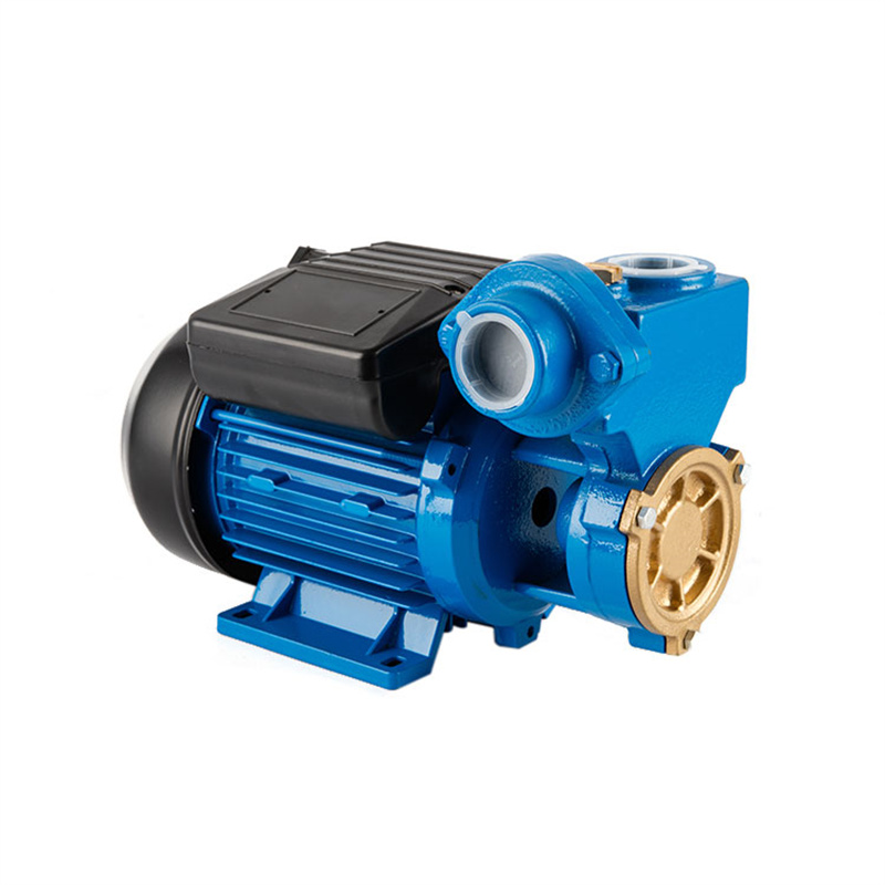 0.16HP 0.125KW DB-125A Peripheral Water Pump09