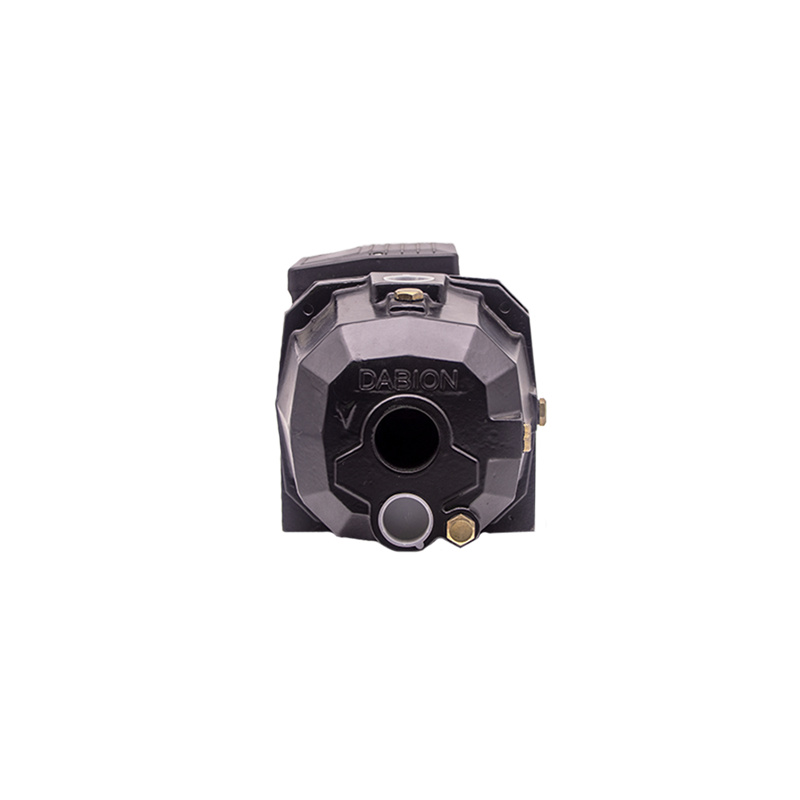 0.5HP 0.37KW DP-370 Self-Priming Water Pump05