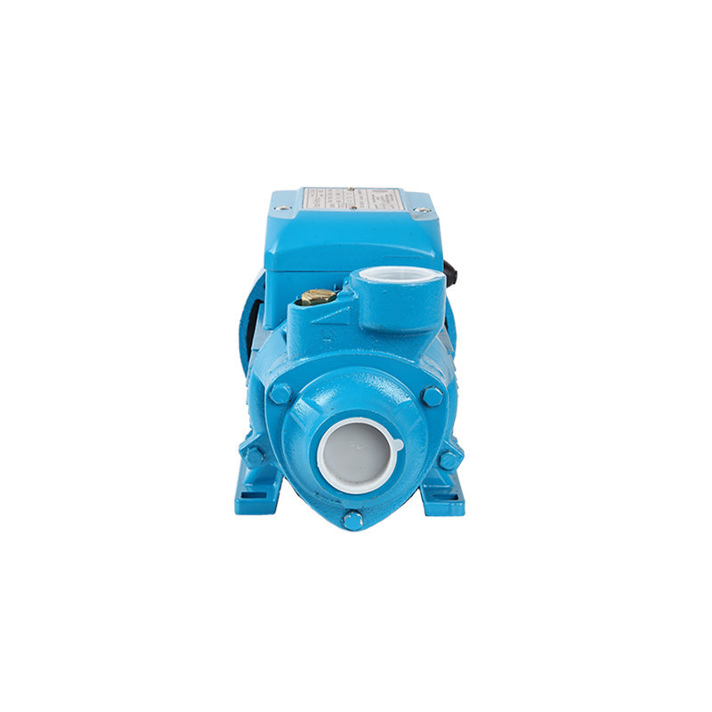 1 2HP 0.37KW QB60 Peripheral Water Pump04